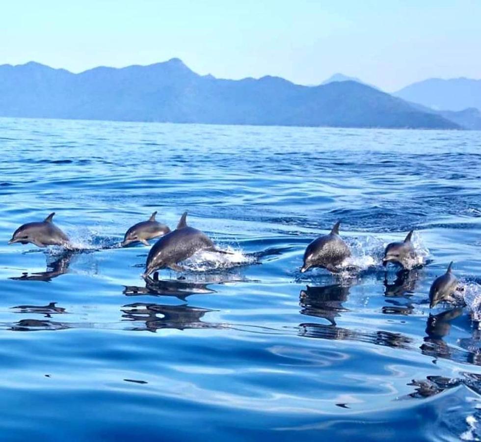 Pousada Costão do Sol Angra dos Reis Exterior foto